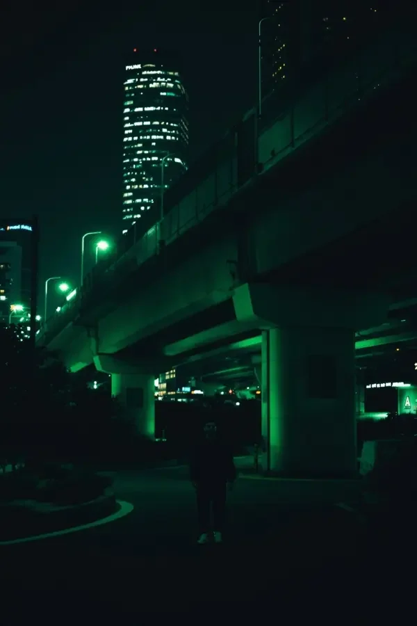 城市的第一夜 影片封面