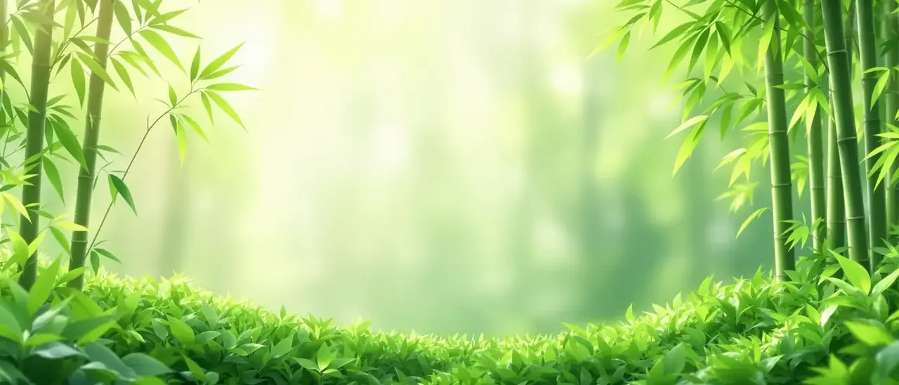 秘密影院 · 清新佳作 - 秘密影院 秘密影院 · 清新佳作 页面背景
